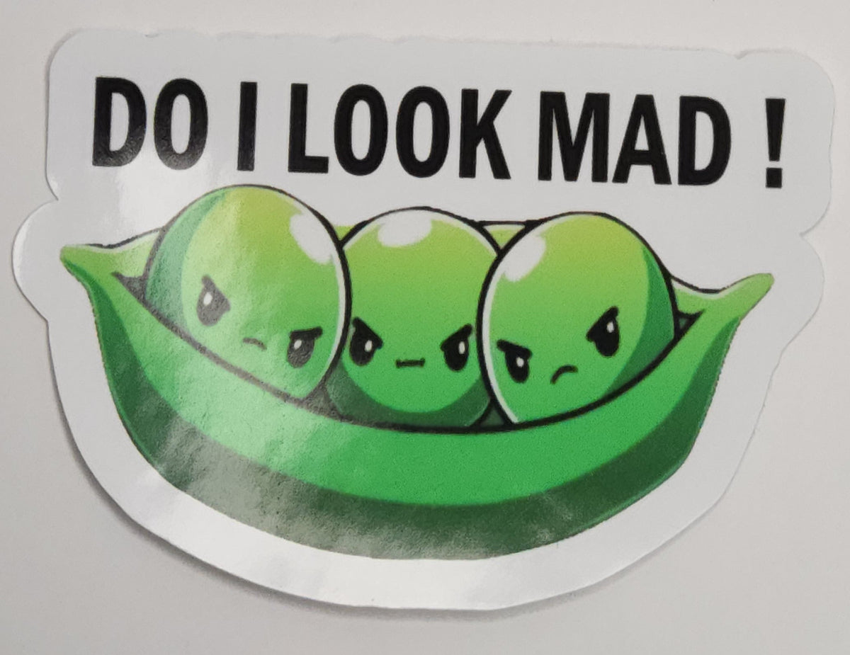Do I look mad Waterproof Vinyl Sticker – Aesthetic Laptop & Water Bottle Decal